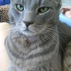 Meet your Posher, Anette